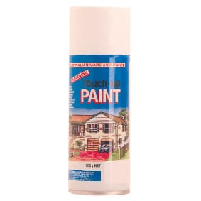 Touch Up Paint - 150g Spray Can - TR