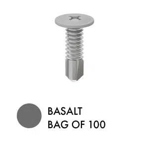 XPS SCREWS - Bag of 100 - BS